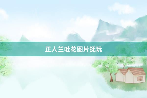 正人兰吐花图片抚玩